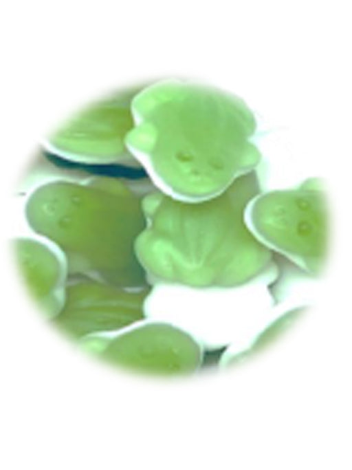 FROG`S JELLY FOAM